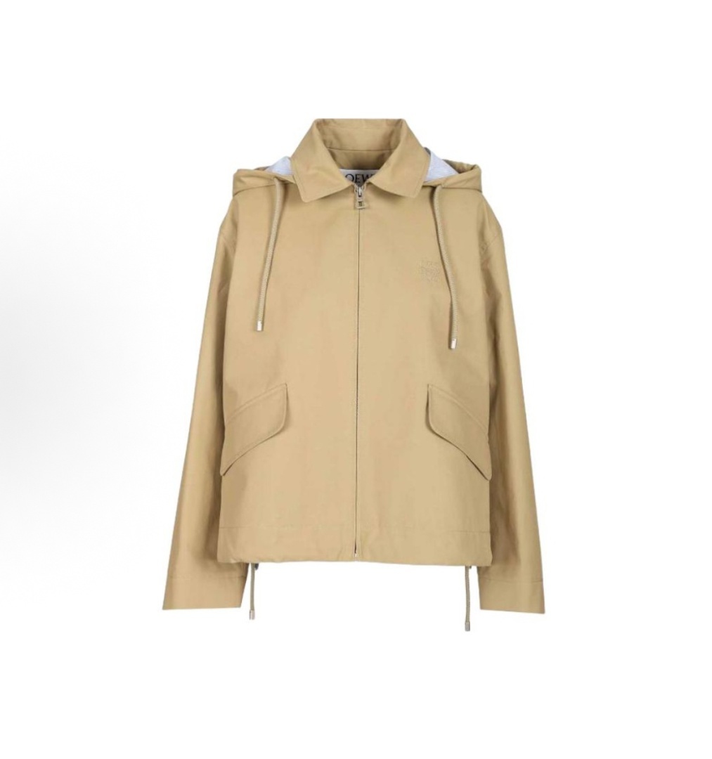 Loewe Loewe