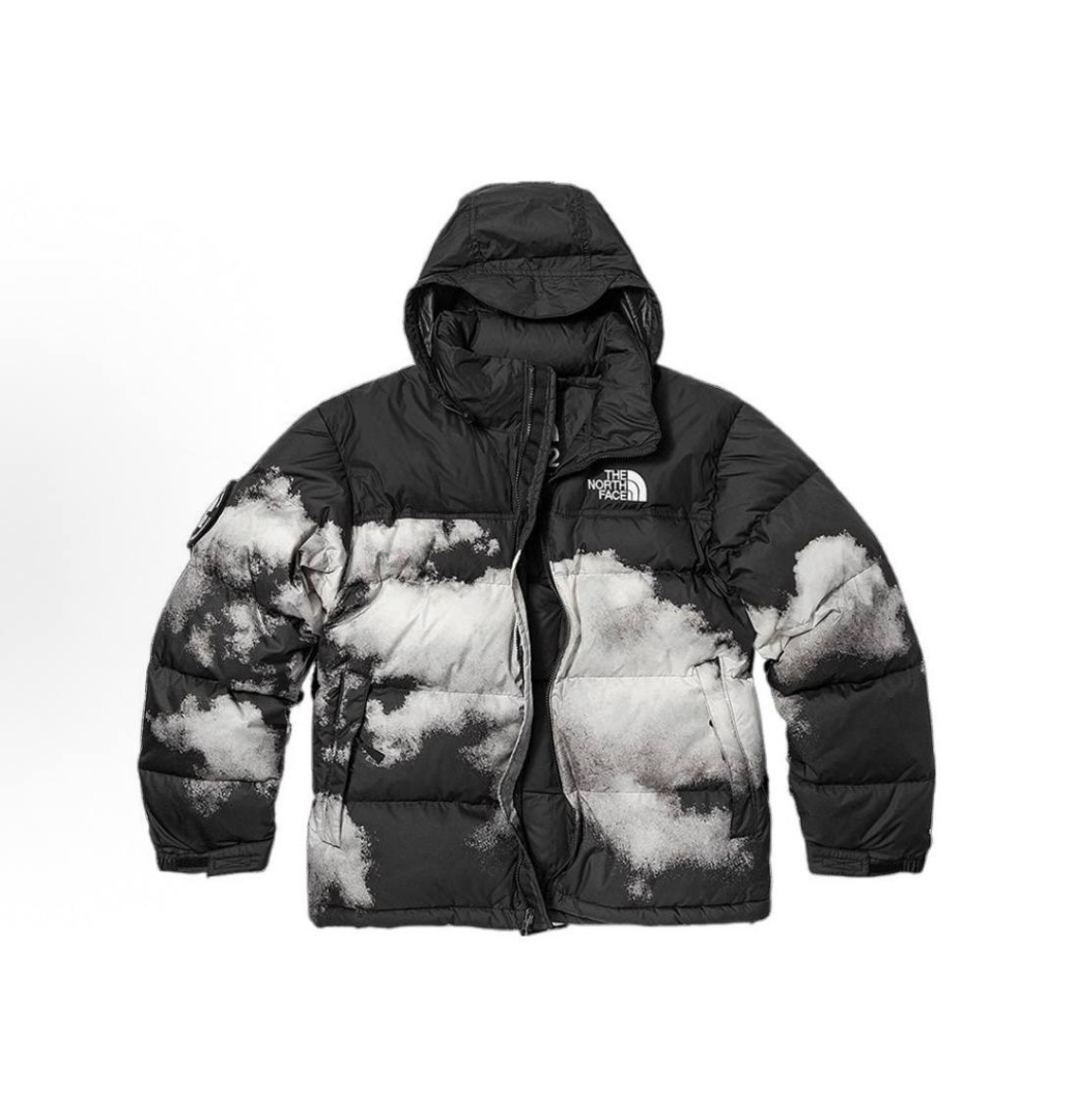 The North Face  The North Face